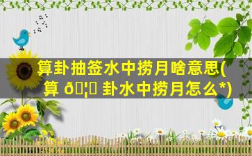 算卦抽签水中捞月啥意思(算 🦄 卦水中捞月怎么*
)